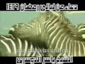 دعاء  من روائع  الشيخ ياسر الدوسري (يالله )لاتحرم نفسك الاستماع اليه 1429 هجري