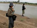 Bangkok Barramundi - Lady catches huge Barramundi!