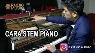 CARA STEM PIANO - PIANO TUNING - HOW TO TUNE A PIANO (RAIENO MUSIC)