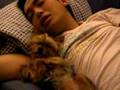 Napping with my Yorkie