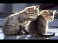 here witout you