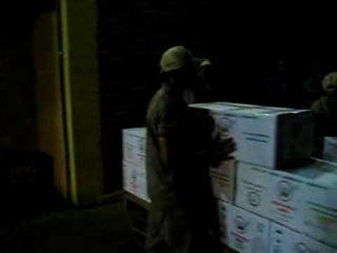 Wolf Seeds Loading Container