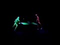 Bath Gang Show - Ping Pong
