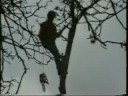 tree work 1994 part two