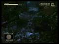 Metal Gear Solid 3 - The frogs during Snake Eater Mission 1