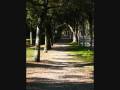 autunno in cortona.wmv