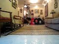 Amirul aka The Violence Hardstyle Republic