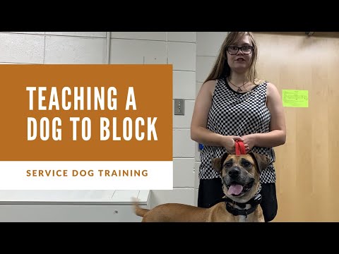 video-linktoworks-How to Train Block Crowd Control Task to Your Service...