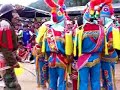 negrillos en yunsa chumbibamba talavera andahuaylas apurimac