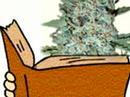 Any Tokers? (The Marijuana-Logues)