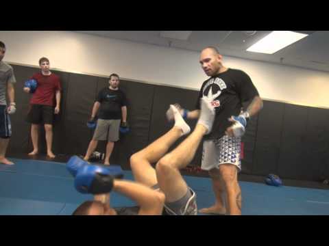 Cyborg Chute Boxe MMA – The Ground and Pound Power Punch
