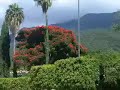 Ajijic Lake Chapala Mexico