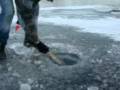 videos de MOV03559