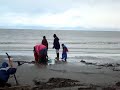 Clam digging in Ninilchik, AK