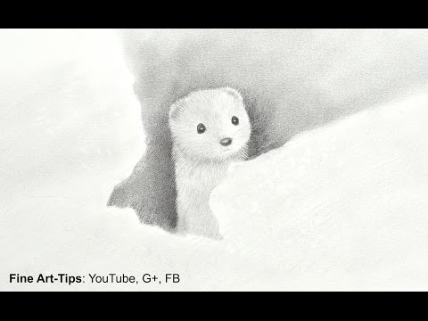 how to draw white fur