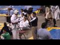Coppell-Cobra-Part-2