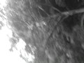 MOV00077