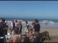 Finaliza la Gira canina de El Refugio en la playa de Cádiz