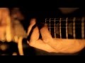 Cadence of Insects