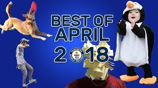 Best of April 2018 - Guinness World Records