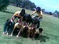 FAil Pyramid