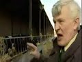 BBC News - Straw stops Cows Farting BBC News - Straw stops Cows Farting
