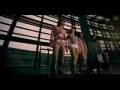 videos de F4-Can't lose you