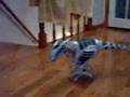 Quick Roboraptor