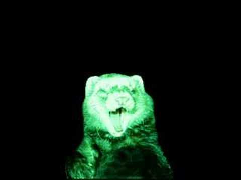 Dancing Ferret