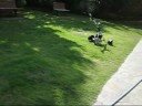 Electric Golf Trolley with radio control