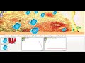 BioDyn .NET, Example 1.