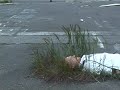 Ein Versuch �ber das Liegen (Part 1) / Streetart Berlin