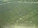COOL LANDING IN SANPEDRO SULA HONDURAS