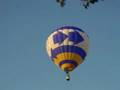 Forest Park Balloon Race 2006