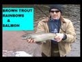 BROWN TROUT ,SALMON,RAINBOW TROUT TRIFECTA
