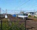 EF651065+コキ