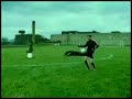 Zidane +10