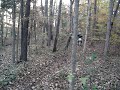 Motorrad-Video Stoppie
