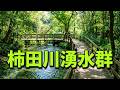 観光地探訪　柿田川湧水群　Kakita River springs