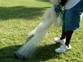 cast net instructions