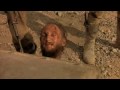 The Beast of War - Afganistan 1981