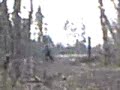 washy crosser