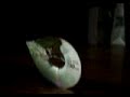 CD Burning CD Burning