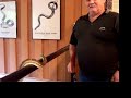Python and Taipan snake Python and Taipan snake