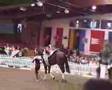 Hohenhameln 1. Durch: Pflicht - DJM Vechta 2007