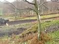 Thorns Cross.wmv