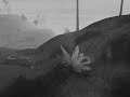 Eve of Destruction