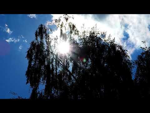 Барановичи день за днем. 25.06.20.
