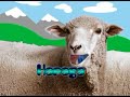 Harraga vu par ENTV (5/6)