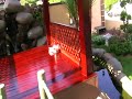 my garden koi fish pond